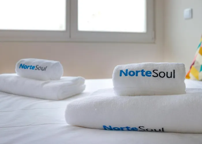 Nortesoul Center Amazing View 公寓 波尔图