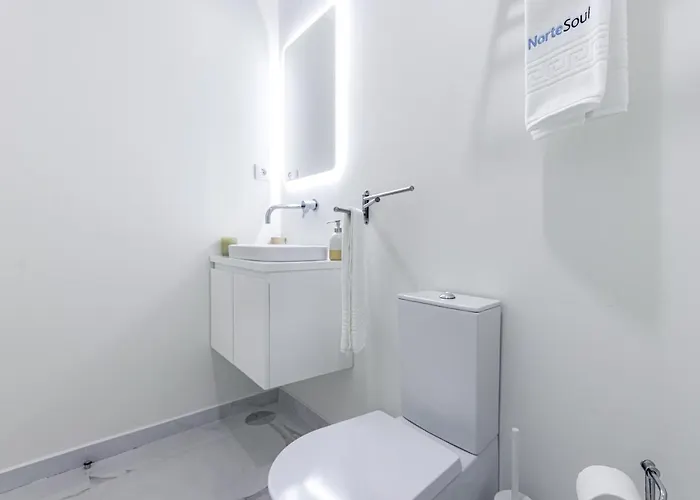 Nortesoul Center Amazing View 波尔图